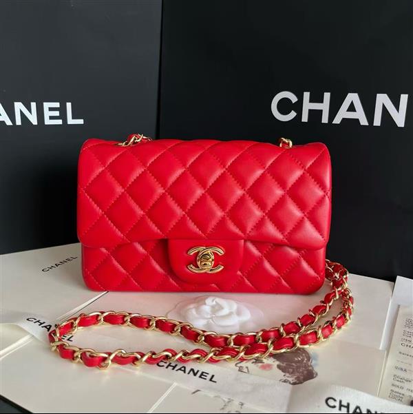 2026127205646784 380